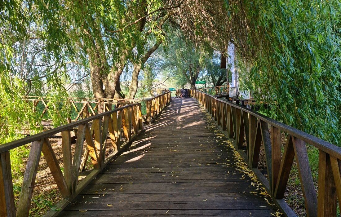 Day trip in Kopacki Rit Nature Park in Eastern Croatia